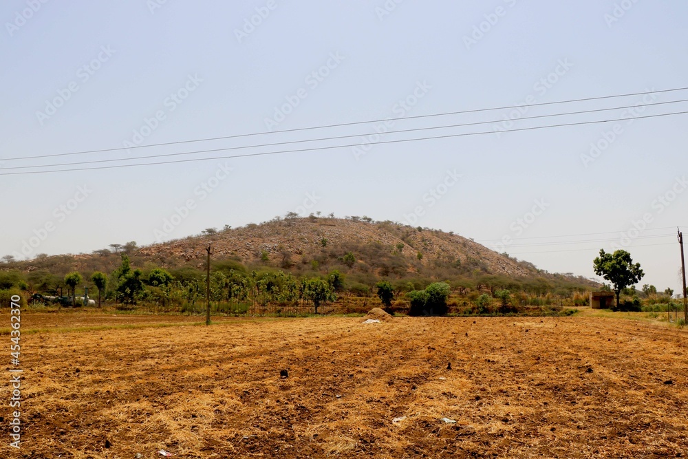 Agriculture land with background of hill and nature