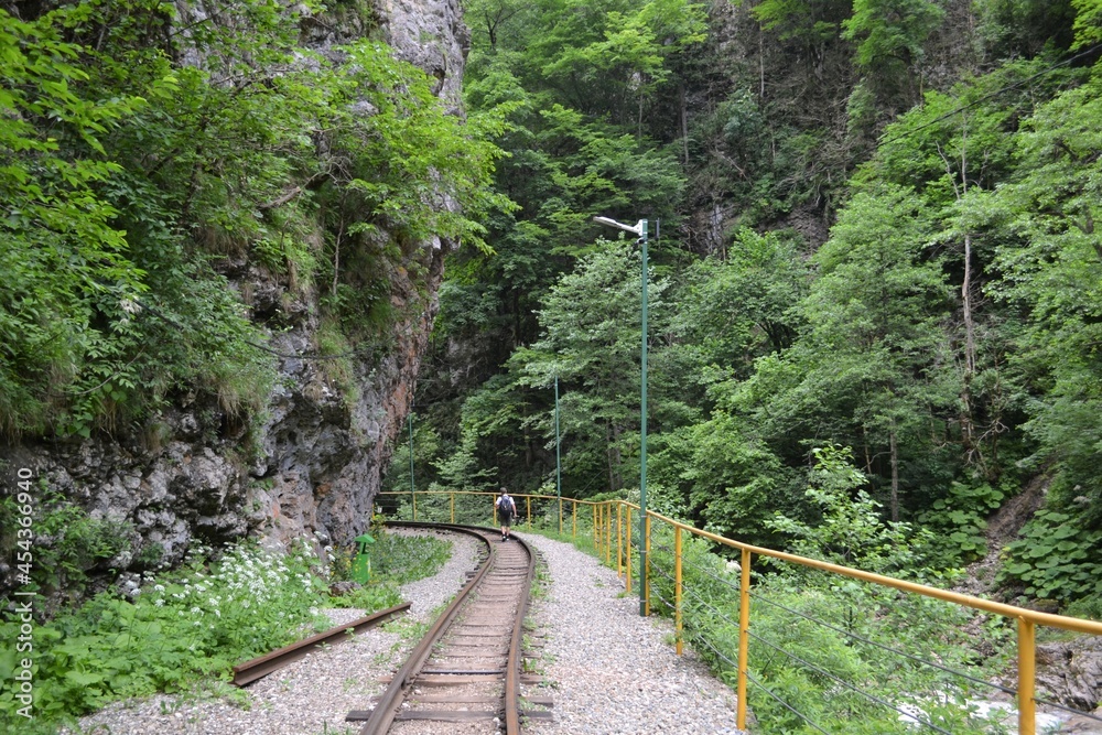 Fototapeta premium Гуамское ущелье, в верховьях реки Курджипс.