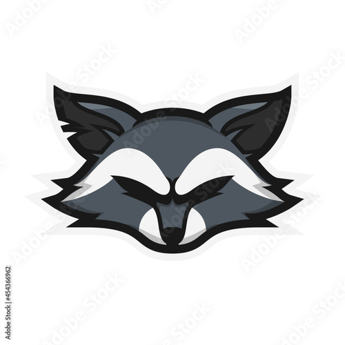 Raccoon mascot head