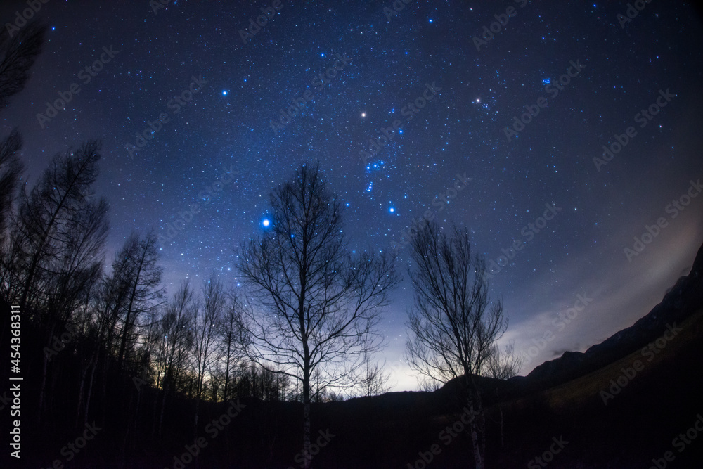 オリオン座と冬の大三角 Stock Photo Adobe Stock オリオン座と冬の大三角 Stock Photo Adobe Stock