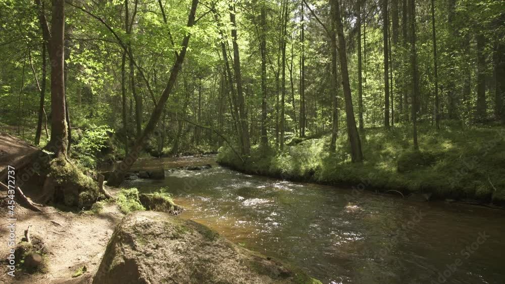 Fast moutain river flowing through forest in a sunny summer day Fast moutain river flowing through forest in a sunny summer day