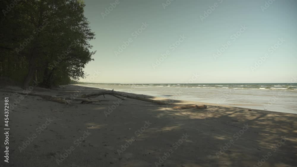 custom made wallpaper toronto digitalA narrow beach with old tree trunks in the sand in summer day