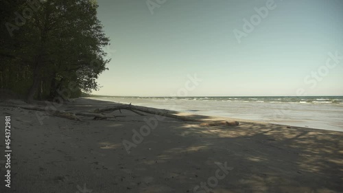 Wallpaper Mural A narrow beach with old tree trunks in the sand in summer day Torontodigital.ca