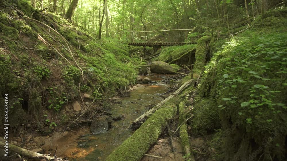 A tiny creek in a forest with a foot-bridge in background