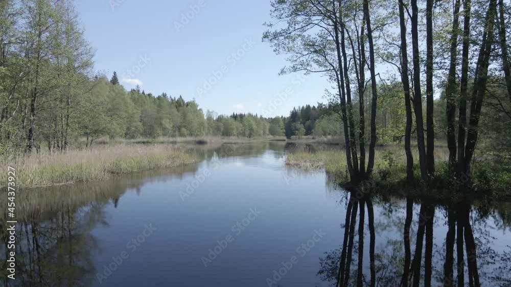 Drone flying along a calm river through a forest in summer morning Drone flying along a calm river through a forest in summer morning