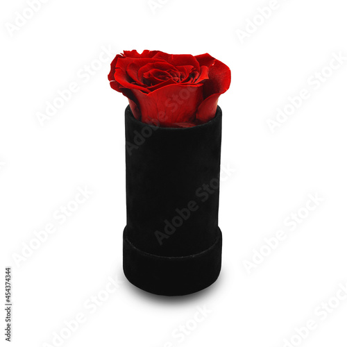Róża na prezent
