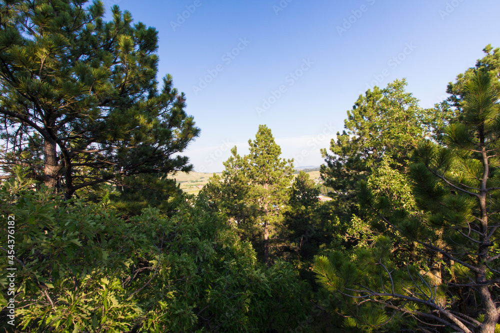 Oak Park in Summer, Whitewood, South Dakota