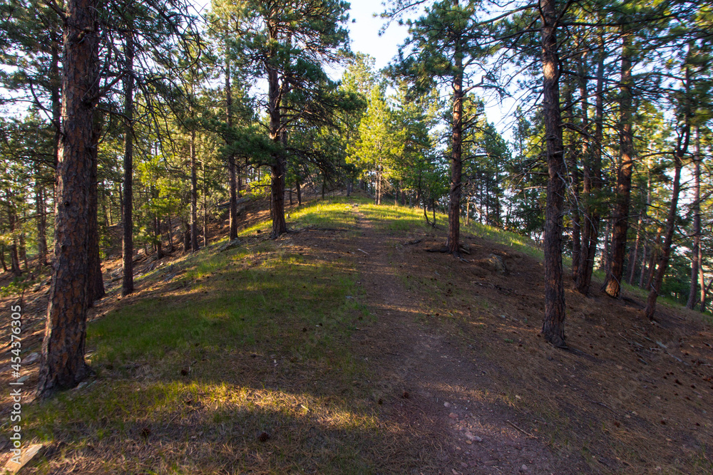 Oak Park in Summer, Whitewood, South Dakota Oak Park in Summer, Whitewood, South Dakota