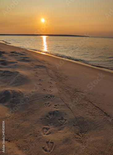 Bird tracks along Lake Superior beach at sunset