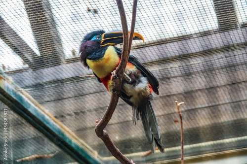 Vogelpark Walsrode photo