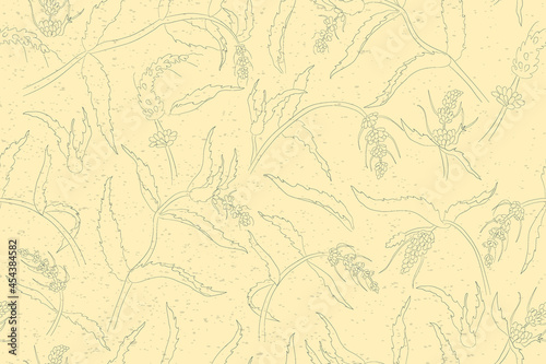 Seamless Pattern with Mentha spicata Flower Parts