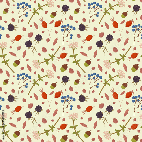 A pattern with wild berries from the forest. Autumn texture with plants for textiles or packaging paper. Vector doodle background with the nature of autumn. Vector illustration