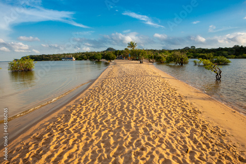Beautiful view of sand and trees at Tapajos River beach in Amazon Rainforest on sunny summer day. Alter do Chao, Para, Brazil. Concept of nature, conservation, environment, ecology, tourism, travel.