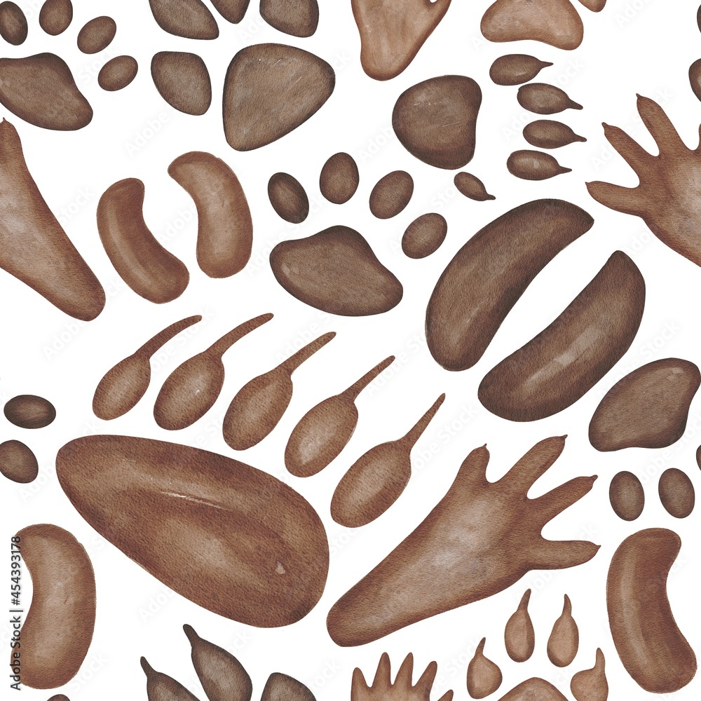 Tracks of wild forest animals