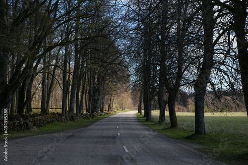 Lonely countryside asphalt road between old trees.