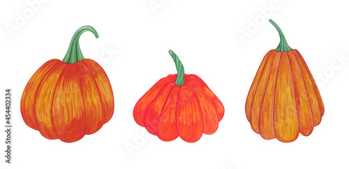 Set of pumpkins.Autumn set of elements on isolated white background. Watercolor illustration. Hand drawing. It is perfect for thanksgiving cards or posters, halloween