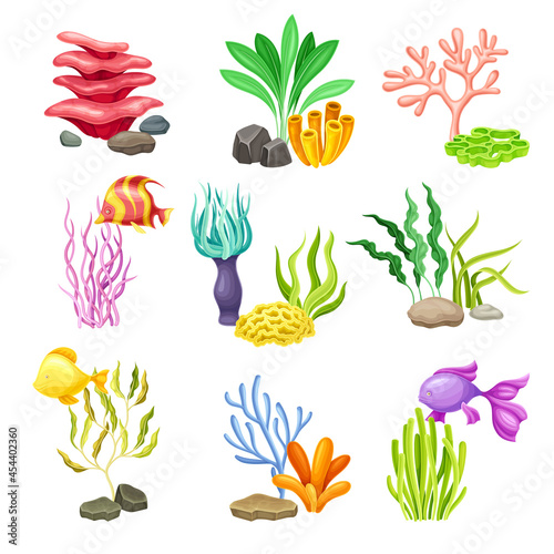 Sea Coral and Algae Growing on the Ocean Bottom Vector Composition Set
