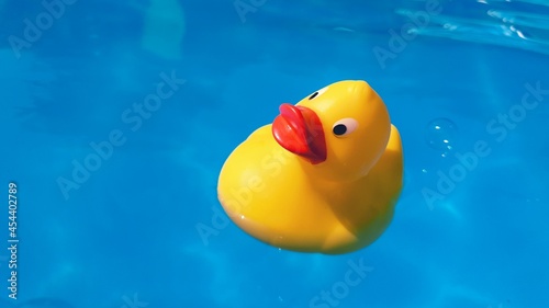 Yellow Duck in the summer