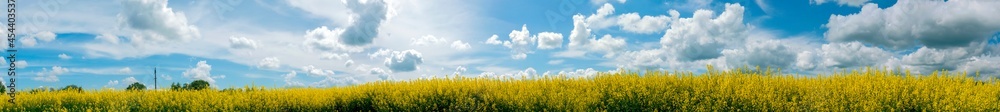 Obraz premium Panorama of yellow rapeseed valley. The mountains and the beautiful spring sky in the background
