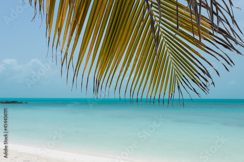 A branch of a palm tree on the background of a turquoise sea. Tropical view of an island in the Caribbean Sea.