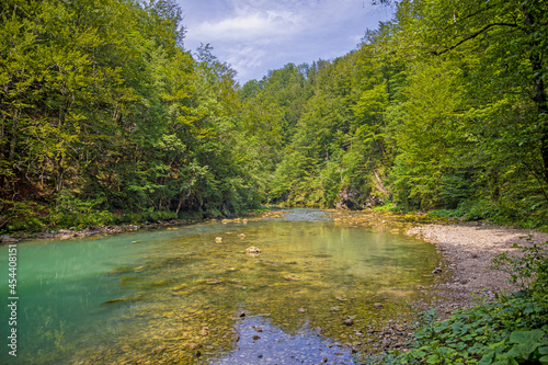 the river kupa near the spring with hiking trail