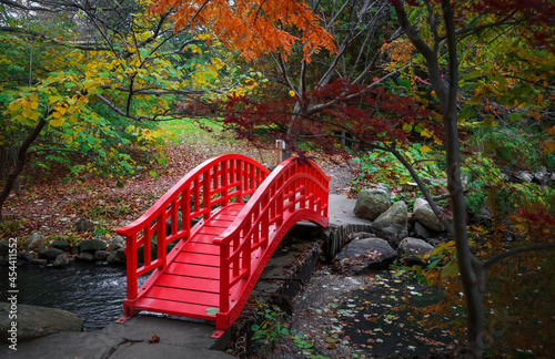 Fototapeta Naklejka Na Ścianę i Meble -  Red bridge in Japanese garden at Bloomfield hills in Michigan.