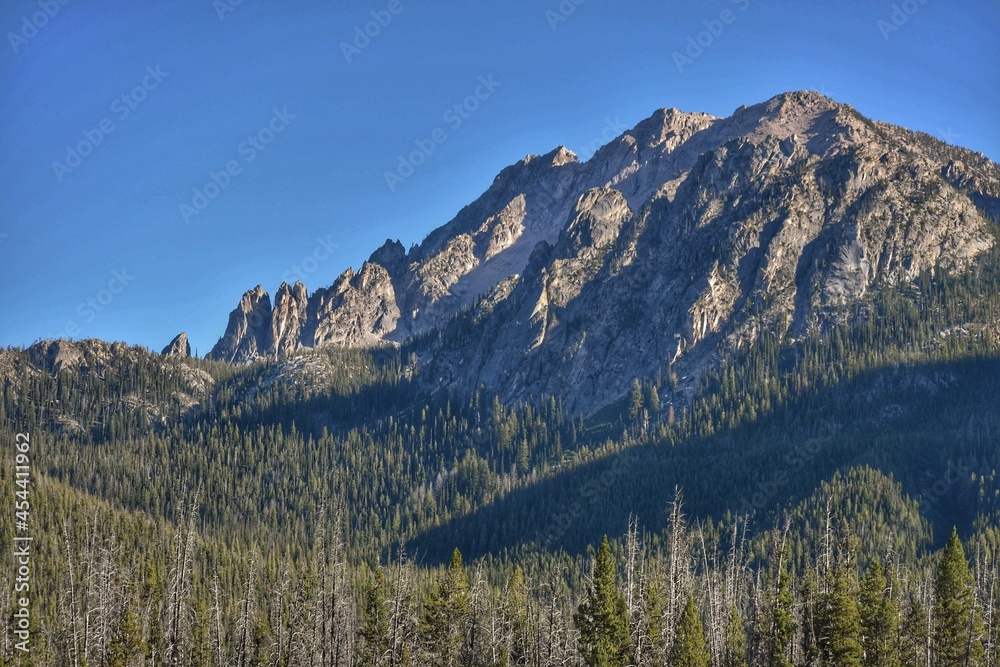 Sawtooth national forest