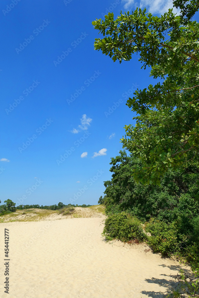 Letea sand dunes, Danube Delta, Romania, Europe Letea sand dunes, Danube Delta, Romania, Europe