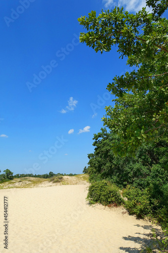Letea sand dunes, Danube Delta, Romania, Europe