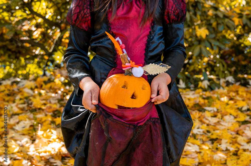 Hands holding pumpkin with background of yellow leaves. Holloween decoration and autumn harvest. Hands holding pumpkin with background of yellow leaves. Holloween decoration and autumn harvest.
