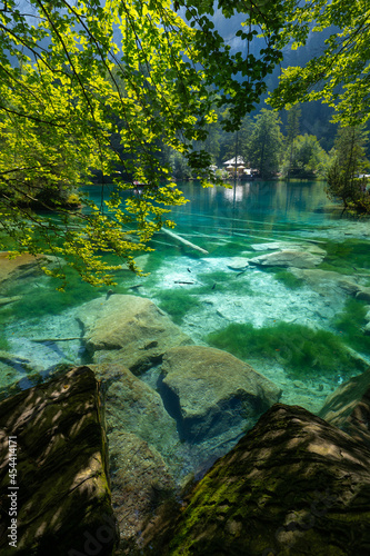 Fototapeta Naklejka Na Ścianę i Meble -  un lac aux eaux bleues et translucides avec du feuillages