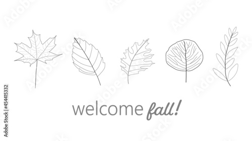 Autumn illustration showing outlines of five types of leaves and message Welcome Fall. Fall, seasonal. Black and white.