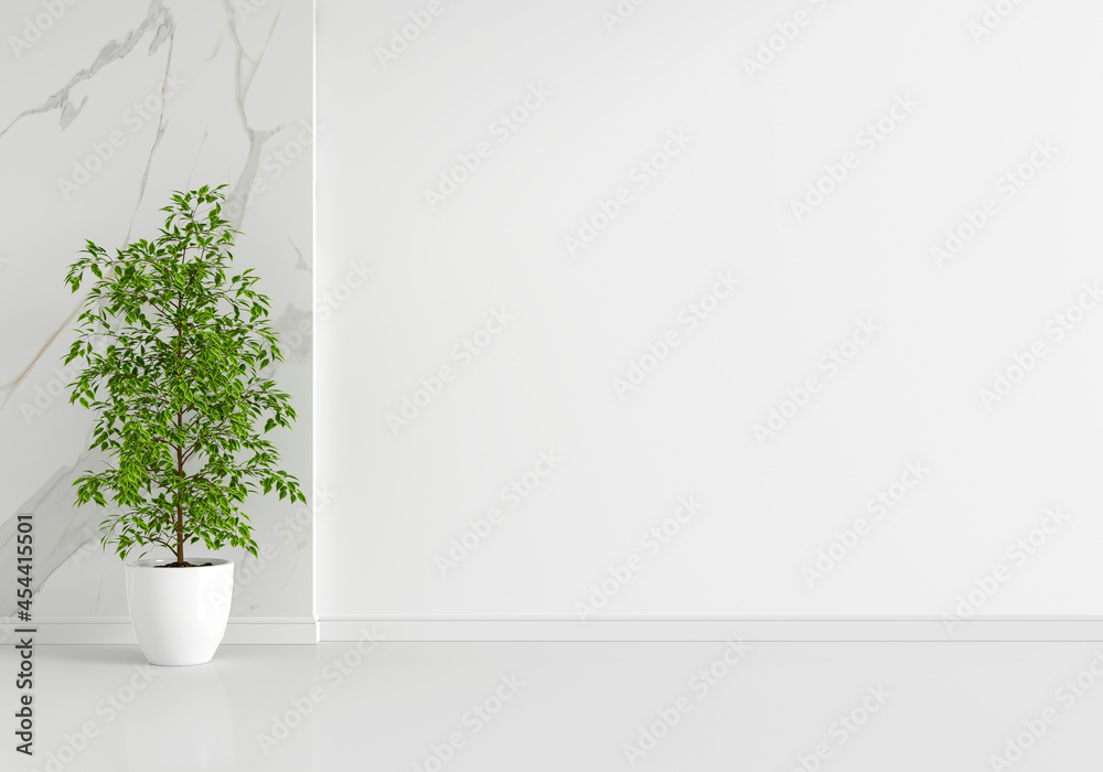 Fototapeta premium Green plant in white living room with copy space, 3D rendering