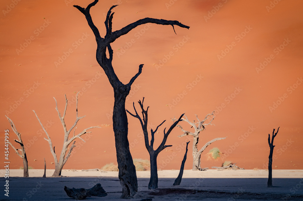 Dead acacia trees and red dunes in Deadvlei. Sossusvlei. Namib-Naukluft National Park, Namibia Dead acacia trees and red dunes in Deadvlei. Sossusvlei. Namib-Naukluft National Park, Namibia