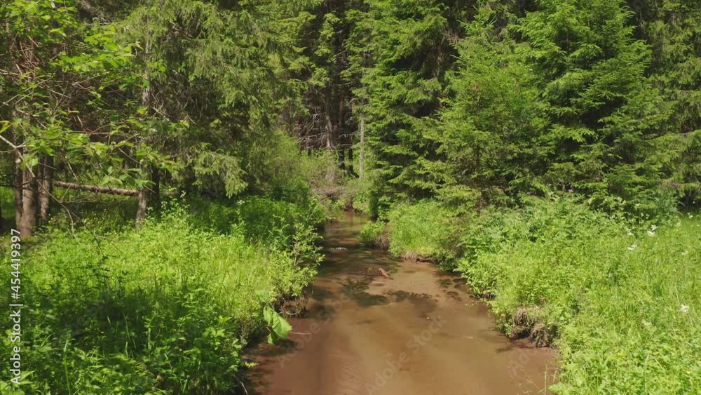4K Aerial view of Stravorema Elatia forest in Rhodope Greece 4K Aerial view of Stravorema Elatia forest in Rhodope Greece