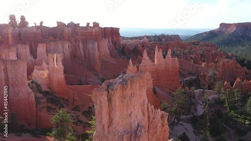 2021 - Excellent aerial shot of hoodoos and pine trees in Bryce Canyon, Utah. photo