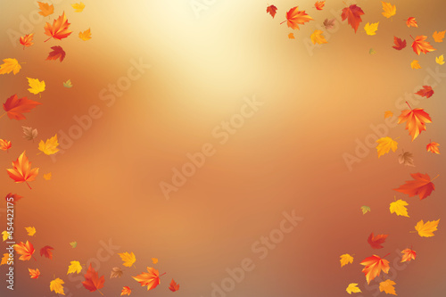 autumn leaves background  autumn background with leaves