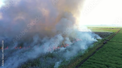 2021 - Excellent aerial shot of a sugar cane field burning in Florida. photo