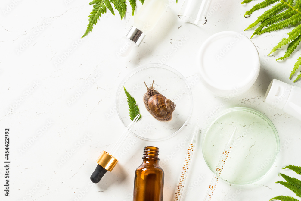 Snail mucin products at white background. Natural anti-aging cosmetic, repair skincare product with fresh plants. Flat lay image. Snail mucin products at white background. Natural anti-aging cosmetic, repair skincare product with fresh plants. Flat lay image.