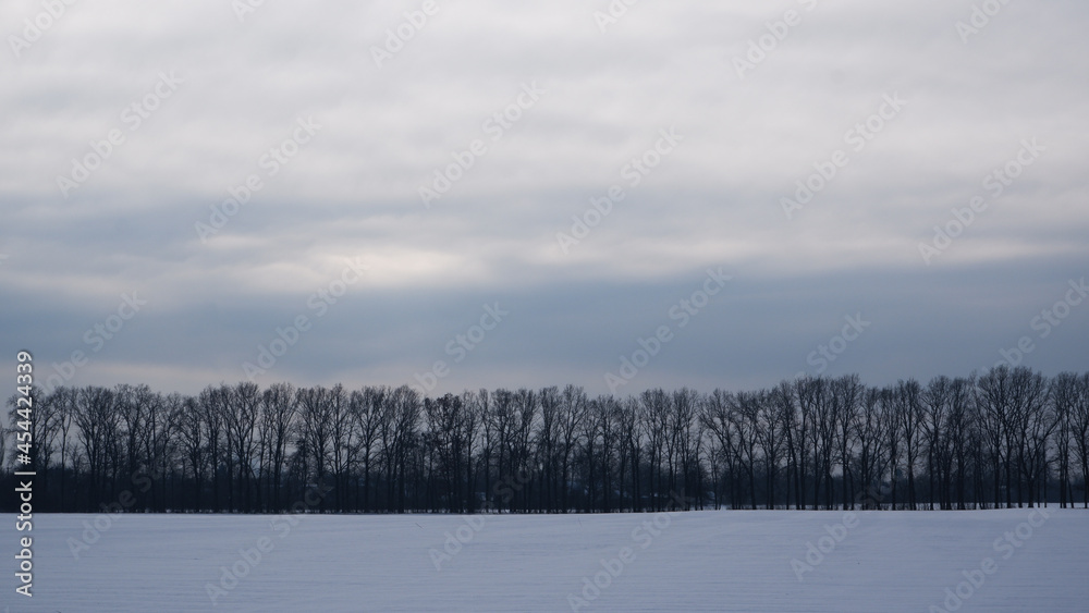 Winter landscape. Snowy field, trees on the horizon. Sunlight struggles through the dense winter clouds. Winter landscape. Snowy field, trees on the horizon. Sunlight struggles through the dense winter clouds.