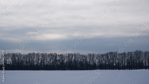 Winter landscape. Snowy field, trees on the horizon. Sunlight struggles through the dense winter clouds.