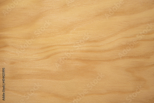 Rustic wood background. Wooden texture with copy space 