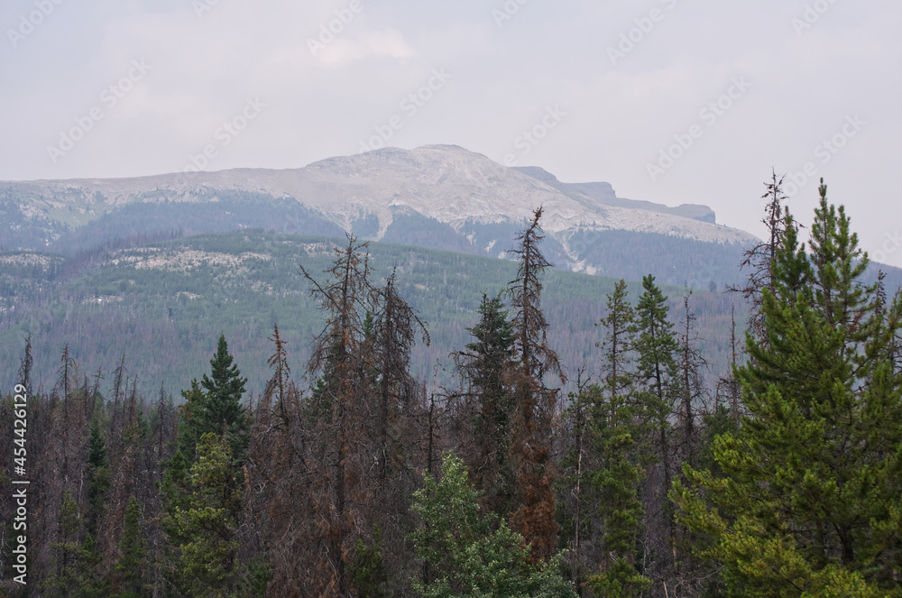 Smoke in the Rocky Mountains