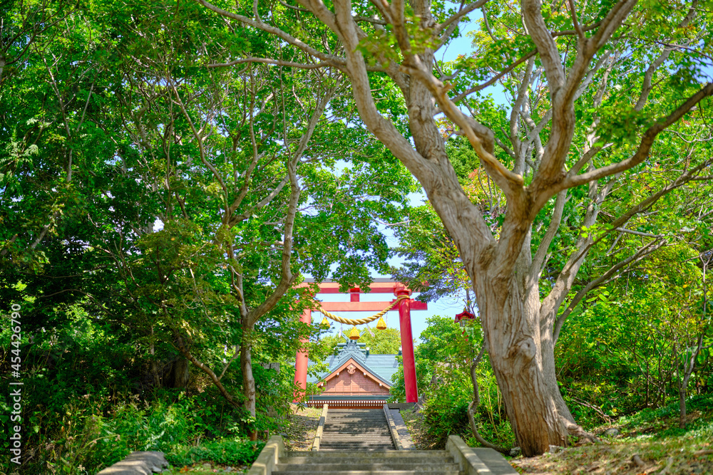 森と鳥居 森と鳥居