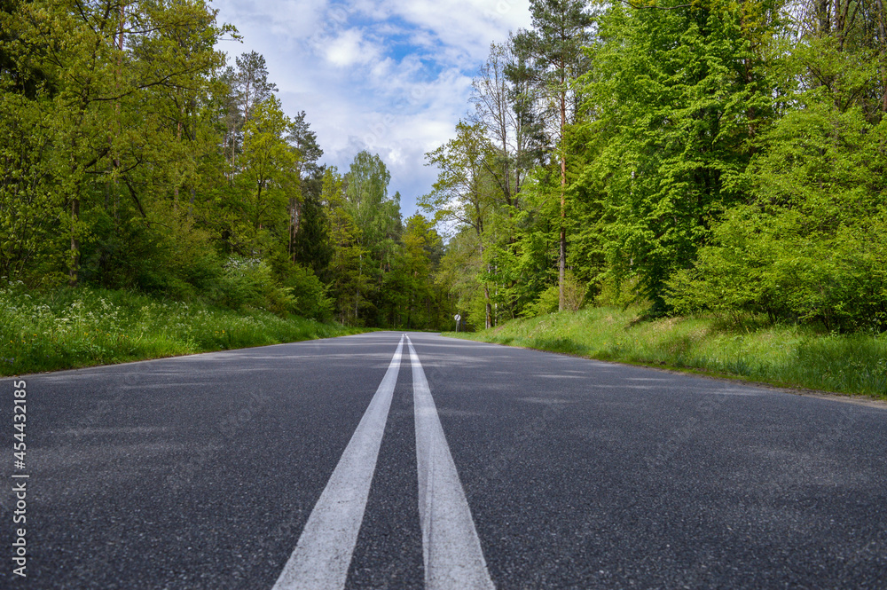 Masurian forest road in the light of the summer sun Masurian forest road in the light of the summer sun