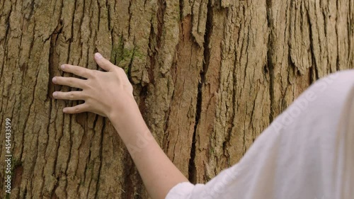 nature woman hand touching tree caressing bark feeling natural texture in forest woods environment conservation concept