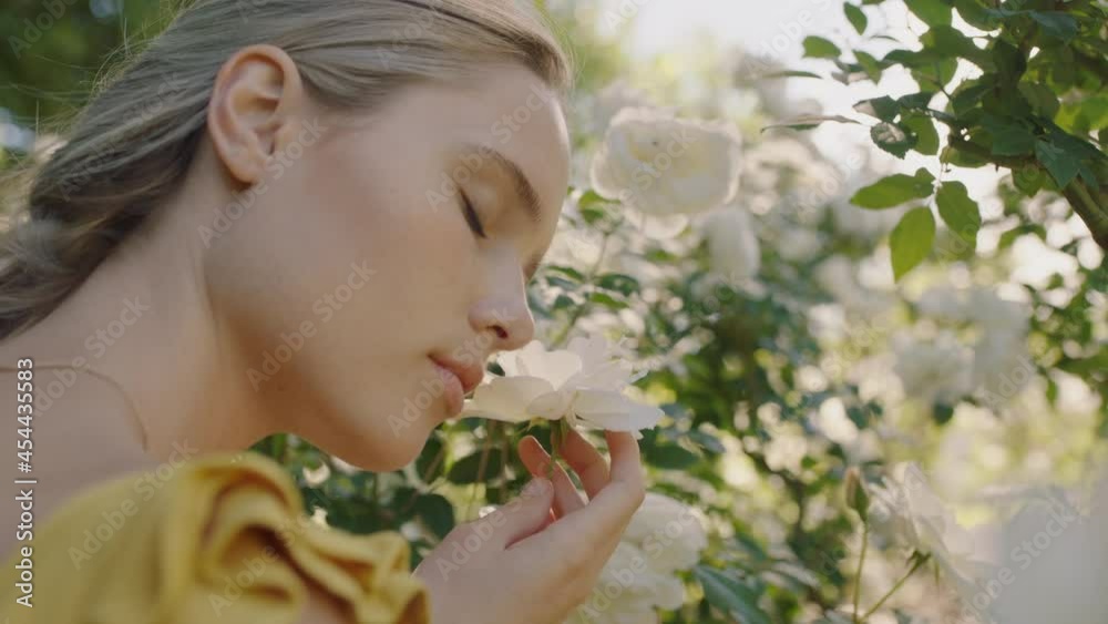 beautiful woman smelling roses in blossoming rose garden enjoying natural scent 