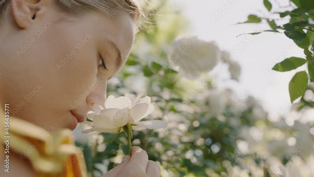 beautiful woman smelling roses in blossoming rose garden enjoying natural scent 