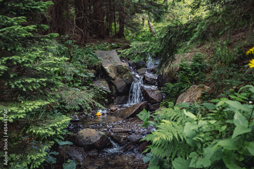 mountain river with clear water. nature mountain river with clear water. nature