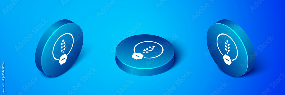Isometric Gluten free grain icon isolated on blue background. No wheat sign. Food intolerance symbols. Blue circle button. Vector Isometric Gluten free grain icon isolated on blue background. No wheat sign. Food intolerance symbols. Blue circle button. Vector